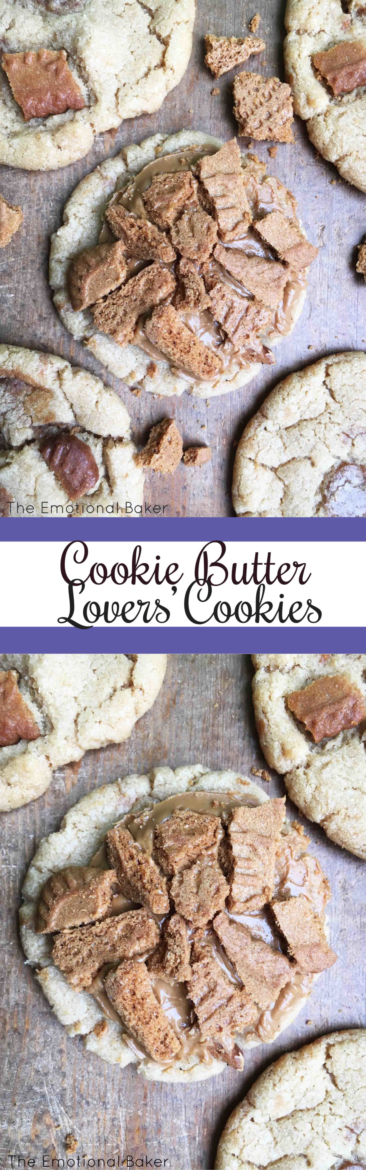 Cookie Butter Lovers' Cookies