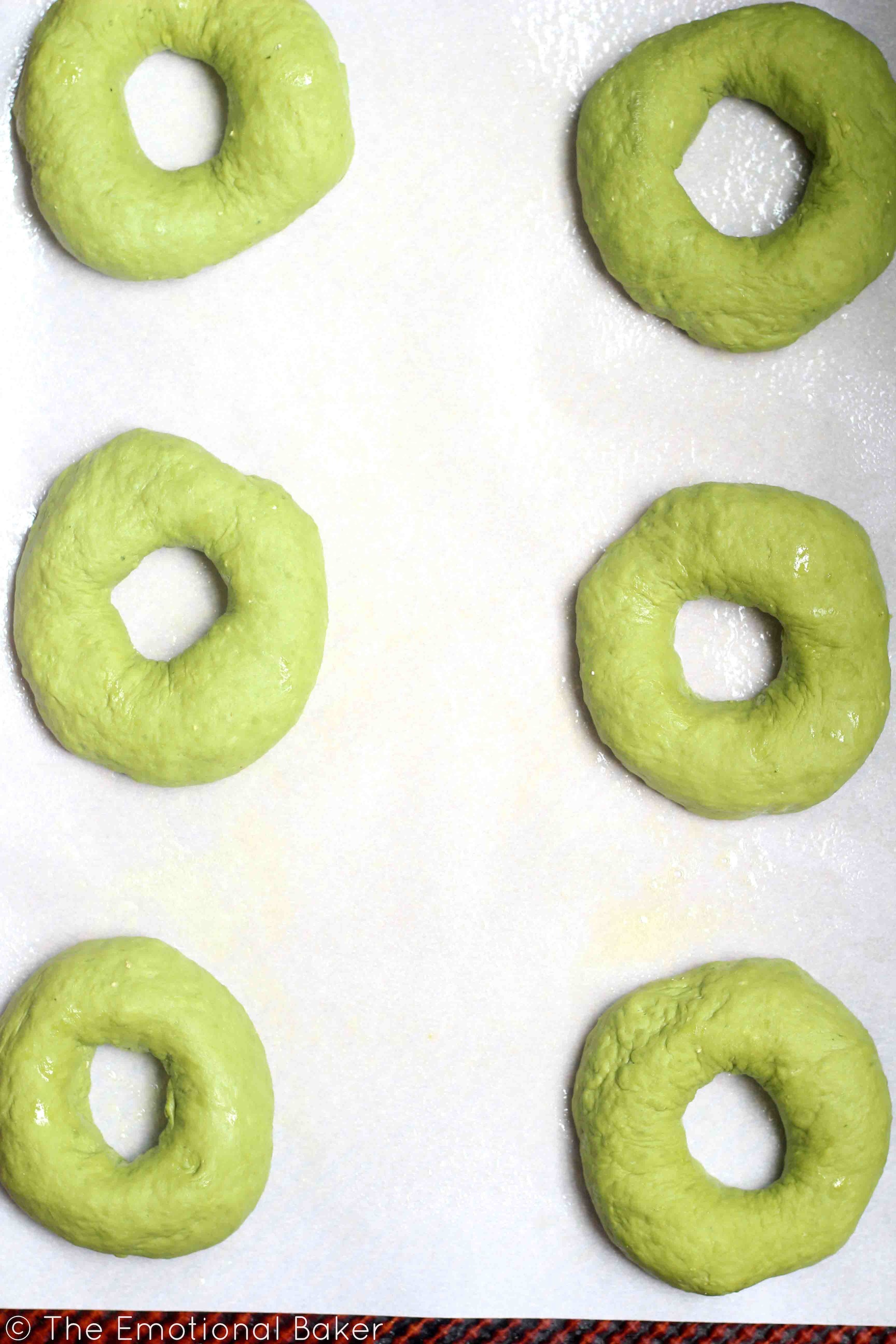 Matcha Sourdough Bagels -- You can make bagels at home! Easy recipe featuring matcha powder and sourdough starter.