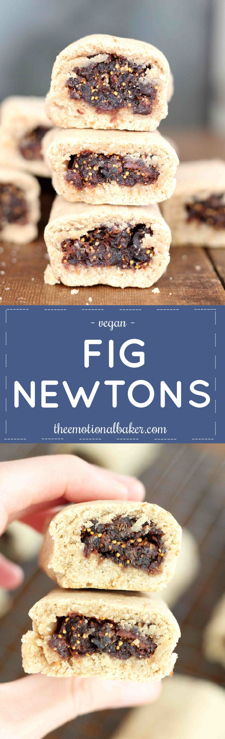 Homemade is always better! The same is true for these scratch made Fig Newtons!