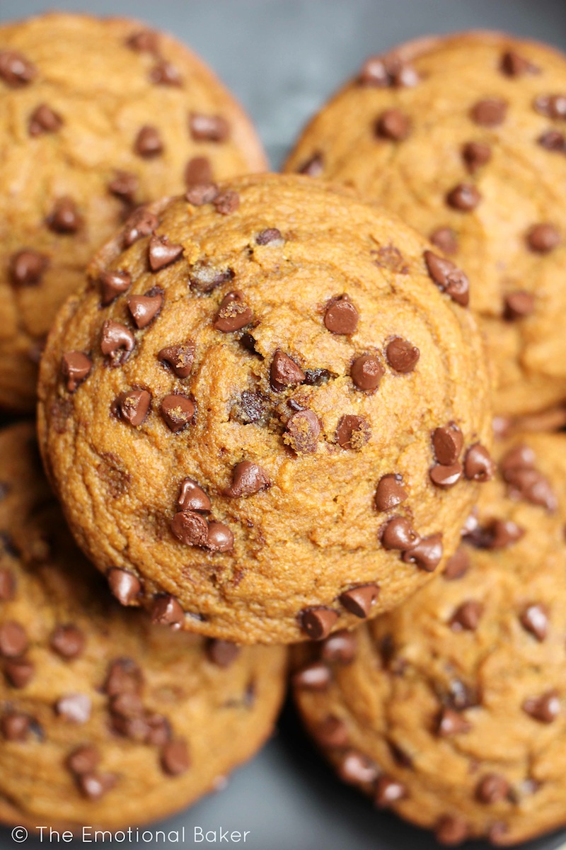 These vegan Pumpkin Muffins are loaded with gingerbread flavor and lots of chocolate chips.