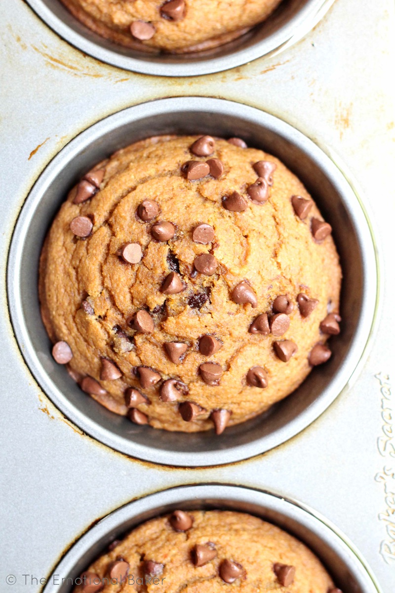 These vegan Pumpkin Muffins are loaded with gingerbread flavor and lots of chocolate chips.